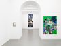 Contemporary art exhibition, Michael Williams, Frogs 1 – 9 at Galerie Eva Presenhuber, Vienna, Austria