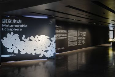 Exhibition view: Metamorphic Ecosphere, Hyundai Motorstudio Beijing (4 Novembe 2023 –31 March 2024). Courtesy Hyundai Motorstudio Beijing.