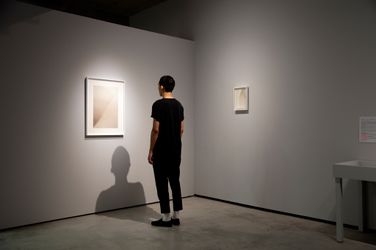 Exhibition view: Group exhibition, creN/Ature, TKG+ Projects, Taipei (7 August–18 September 2021). Courtesy TKG+ Projects.
