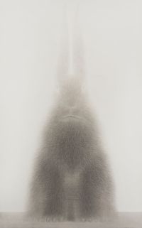 Rabbit Portrait - Dingyou 1 by Shao Fan contemporary artwork works on paper
