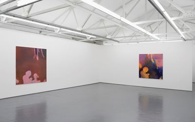 Thomas Eggerer, Ozone, 2015, Exhibition view at Maureen Paley, London. Courtesy the Artist and Maureen Paley. © Thomas Eggerer.