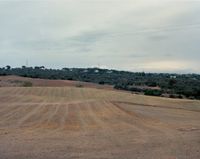 Ridge—Viewing the location of ‘Mosquito Crest’, Battle of Brunete, Spain by Tomoko Yoneda contemporary artwork photography