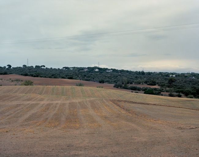 Ridge—Viewing the location of ‘Mosquito Crest’, Battle of Brunete, Spain by Tomoko Yoneda contemporary artwork
