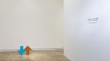 Contemporary art exhibition, Tony Tasset, Me And My Arrow at Kavi Gupta, Elizabeth St, Chicago, United States