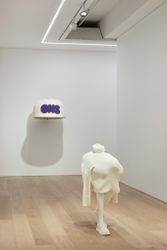 Exhibition view: Erwin Wurm, Dream, Lehmann Maupin, Seoul (11 May–24 June 2023). Courtesy Lehmann Maupin.