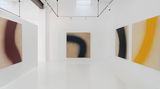 Contemporary art exhibition, Enrich R, Abstract Path at Alzueta Gallery, Séneca, Spain