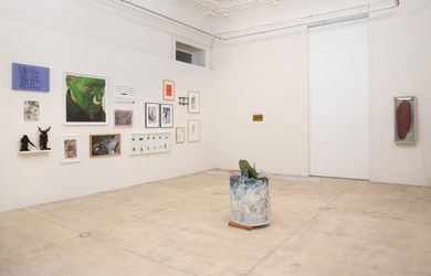 Exhibition view: Lois Weinberger, field work, Galerie Krinzinger, Vienna (8 June–21 August 2021). Courtesy Galerie Krinzinger.