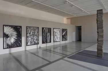 Exhibition view: Robert Longo, Lazarus Manifold, Pace Gallery, 540 West 25th Street, New York (5 November–18 December 2021). Courtesy Pace Gallery. 
