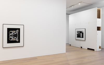 Exhibition view: Chistopher Williams, Open Letter: The Family Drama Refunctioned? (From the Point of View of Production), David Zwirner, London (17 March–20 May 2017). Courtesy David Zwirner, London.