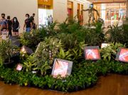 Nam June Paik Mega Exhibition Arrives at National Gallery Singapore