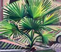 Bonita Palm by Rachid Bouhamidi contemporary artwork painting