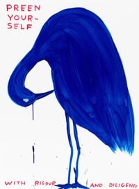 Preen Yourself by David Shrigley contemporary artwork print