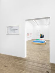 Exhibition view: Darren Bader, The Plastic Arts (Life Suffuses, Cells Amused), Andrew Kreps Gallery, 55 Walker Street, New York (4 June–10 July 2021). Courtesy Andrew Kreps Gallery.