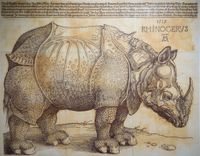 The Rhinoceros by Kichang Choi contemporary artwork print