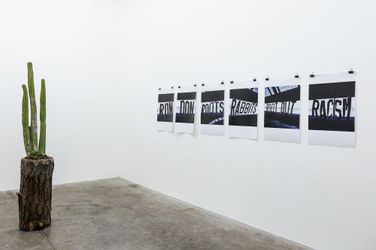 Exhibition view: Robert Hood, Species, Jonathan Smart Gallery, Christchurch (8–30 July 2022). Courtesy Jonathan Smart Gallery.