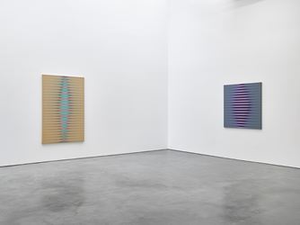 Exhibition view: Roy Colmer, Lisson Gallery, New York (13 January–18 February 2017). Courtesy Lisson Gallery, New York.