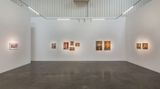 Contemporary art exhibition, Farhad Ahrarnia, The Lacemaker at Lawrie Shabibi, Dubai, UAE