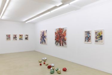 Contemporary art exhibition, Erik Schmidt, Re-Retreat at Krinzinger Schottenfeld, Austria