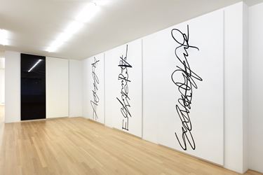 Exhibition view: Eliza Douglas, Anne Imhof, Galerie Buchholz, New York (9 September–21 October 2017). Courtesy Galerie Buchholz.