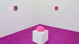 Contemporary art exhibition, Vanessa Safavi, I feed my dreams slime at night at Fabienne Levy, Lausanne, Switzerland