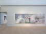 Contemporary art exhibition, Shen Ling, Void Flowers, Yearly Portrait at Tang Contemporary Art, Beijing 2nd Space, China