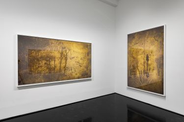 Exhibition view: Danie Mellor, redux, Tolarno Galleries, Melbourne (29 April–21 May 2022). Courtesy Tolarno Galleries.