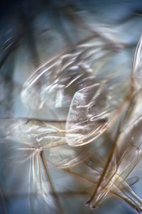 Eidolon #3 by Anne Noble contemporary artwork photography