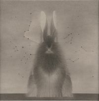 In the Name of Rabbit 121 by Shao Fan contemporary artwork painting, works on paper, drawing