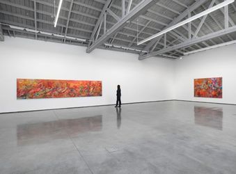 Exhibition view: Lucy Bull, Ash Tree, David Kordansky Gallery, Los Angeles (11 May–15 June 2024). Courtesy David Kordansky Gallery.