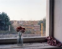 Window I, Soviet Border Guardhouse, Saaremaa Island, Estonia by Tomoko Yoneda contemporary artwork photography
