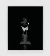 Magpie (Camera) (I) by Sarah Jones contemporary artwork photography