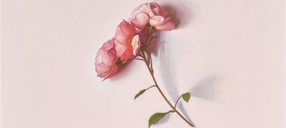 Contemporary art exhibition, Alison Watt, Alison Watt: From Light At The Pitzhanger at Lévy Gorvy Dayan, London, United Kingdom