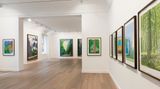 Contemporary art exhibition, David Hockney, The Yosemite Suite at Galerie Lelong & Co. Paris, 13 Rue de Téhéran, Paris, France