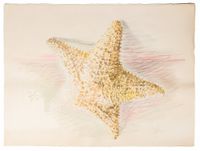 Starfish by Fay Ming contemporary artwork painting, works on paper