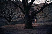 Lacy by Philip-Lorca diCorcia contemporary artwork 1