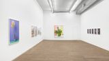 Contemporary art exhibition, Annette Kelm, Present Past Perfect at Andrew Kreps Gallery, 55 Walker Street, United States