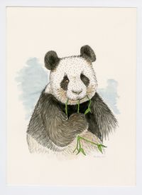 Panda by Sean Landers contemporary artwork painting, works on paper