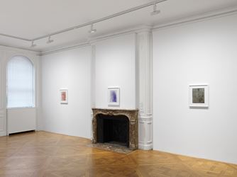 Exhibition view: James Welling, Transform, David Zwirner, 69th Street, New York (10 January–16 February 2019). Courtesy David Zwirner.