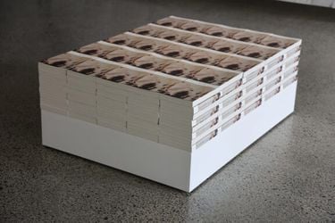 Exhibition view: Shubigi Rao, Pulp III: A Short Biography of the Banished Book, Te Wai Ngutu Kākā Gallery, Tāmaki Makaurau, Auckland (18 April–1 June 2024). Courtesy Te Tuhi. Photo: Sam Hartnett.