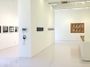 Contemporary art exhibition, Geng Jianyi, The Artist Researcher at ShanghART, Singapore