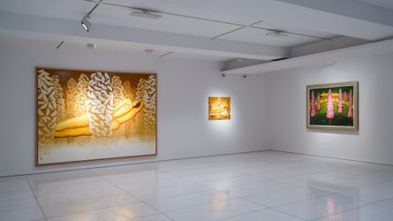 Exhibition view: Jung Kangja, Jung Kangja: It Has Always Been the Beginning, ARARIO GALLERY, Seoul (15 November–30 December 2023). © Estate of JUNG Kangja & ARARIO GALLERY.
