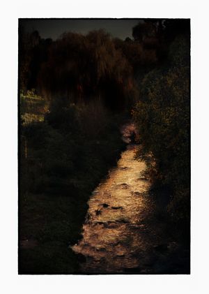 Bill Henson - View Artworks | Ocula