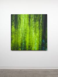 My Titirangi Years - through the green curtain by Elizabeth Thomson contemporary artwork painting