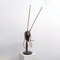 Insektenkopf (Insect head II) by Daniel Spoerri contemporary artwork works on paper, sculpture