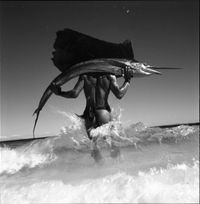 Sailfish, Madagascar  by Gian Paolo Barbieri contemporary artwork photography