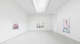 Contemporary art exhibition, Luc Tuymans, Le Mépris at David Zwirner, New York: 19th Street, United States