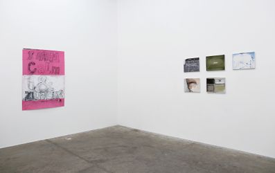 Exhibition view: Kristin Stephenson, Skinning, Jonathan Smart Gallery, Christchurch (1–19 December 2020). Courtesy Jonathan Smart Gallery.