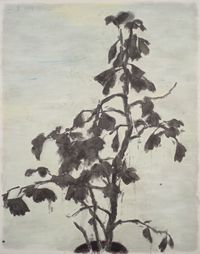 The Ginkgo 2 by Wu Yiming contemporary artwork drawing