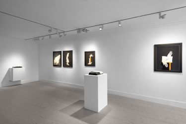 Exhibition view: Aidan Salakhova, The Dust Became The Breath, Gazelli Art House, London (29 April–6 June 2021). Courtesy Gazelli Art House.