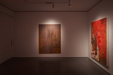 Exhibition view: Clive van den Berg, Fugitive Marks, Goodman Gallery, London (16 March–23 April 2022). Courtesy Goodman Gallery.